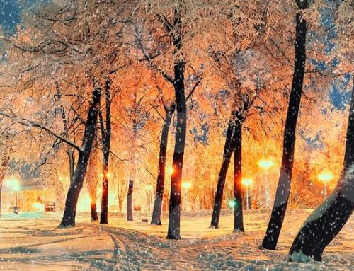 Important Tips About Winter Residential Moving!