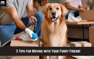 G&M Haulers "5 Tips moving with your furry friend"