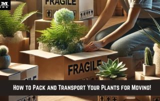 G&M Haulers "How to pack and transport your plants for moving"